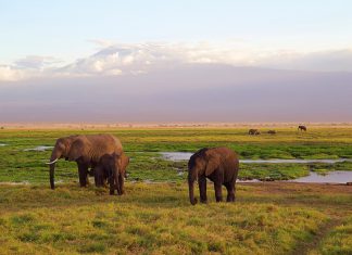 De routes van de Kilimanjaro