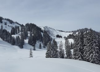 Een auto huren voor de wintersport? Geen probleem bij Greenwheels