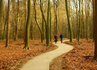 Tot rust komen op de Veluwe